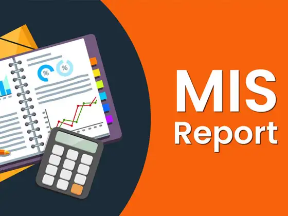 MIS Reporting 