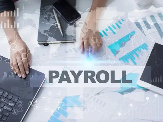 Payroll Services